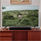 Sonos Beam (Gen 2) – Compact Smart Soundbar for TV, Music & More (Black) Mobile Arcade Ltd