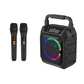 Wireless Musical Instrument Speaker Set with 2 Microphones & LED Lights